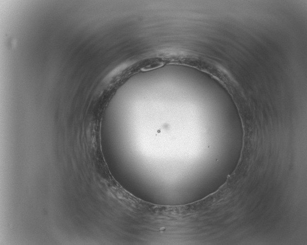 X0000080151016200612221943