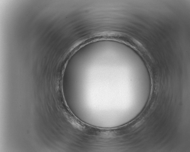 X0000080151017200612221943