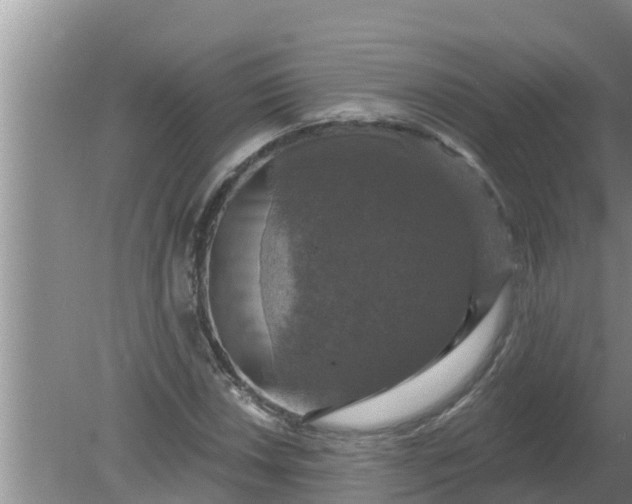 X0000080151018200612221943