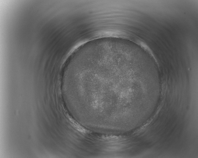 X0000080151019200612221943