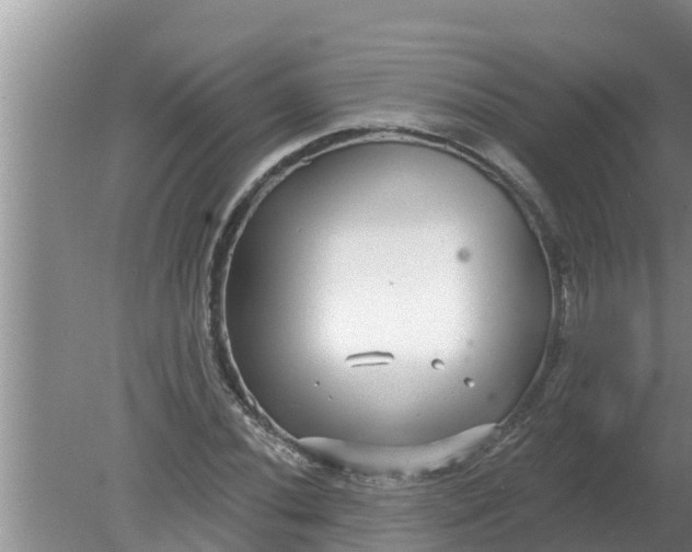 X0000080151020200612221943