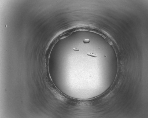 X0000080151021200612221943