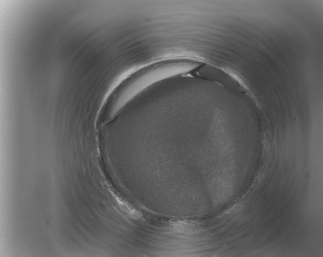 X0000080151022200612221943