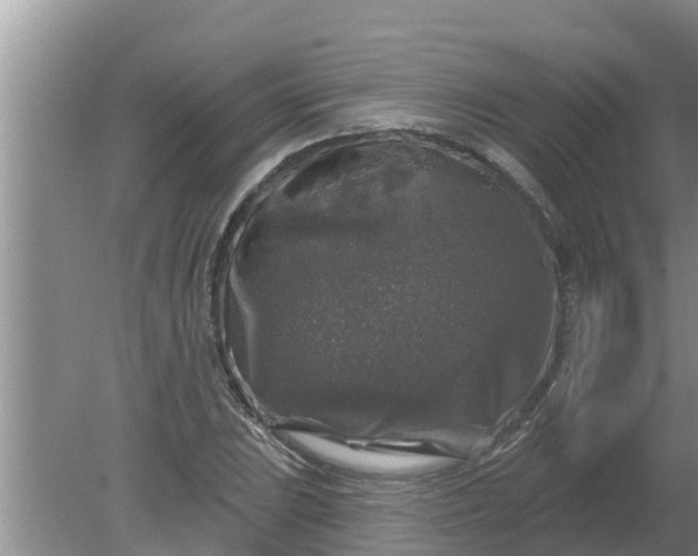 X0000080151023200612221943