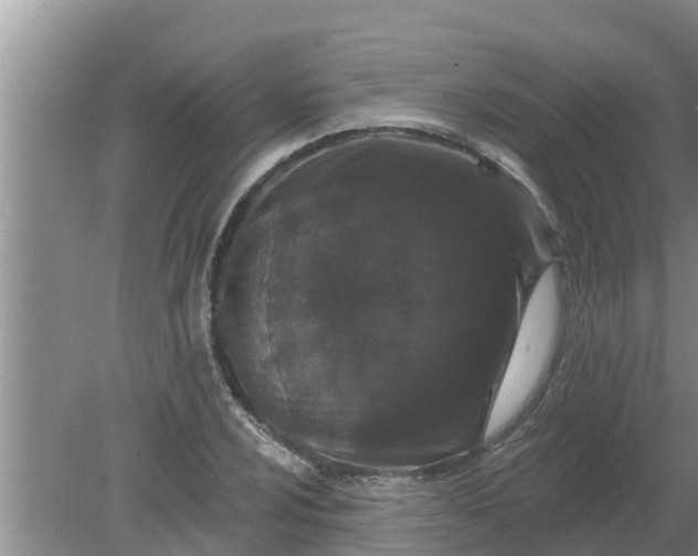 X0000080151024200612221943