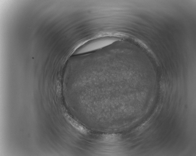 X0000080151025200612221943