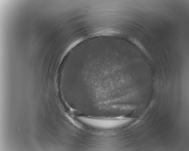 X0000080151026200612221943