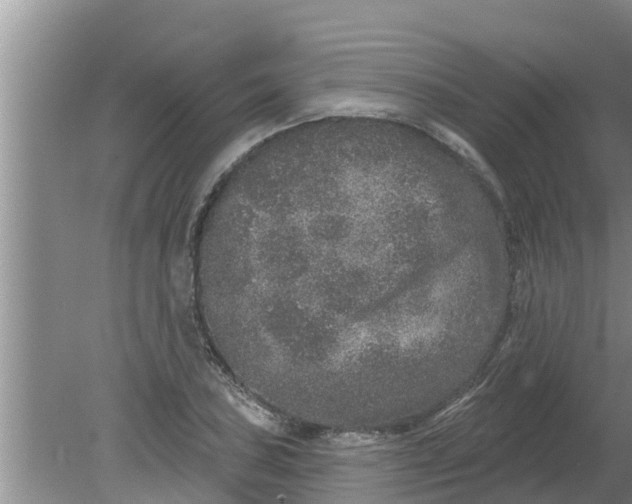 X0000080151027200612221943