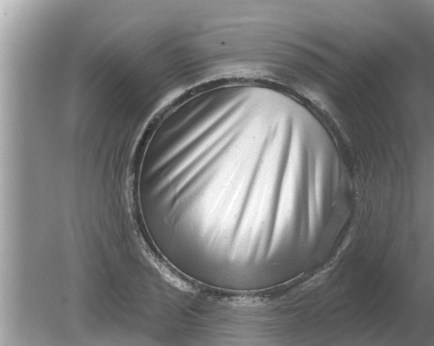 X0000080151029200612221944