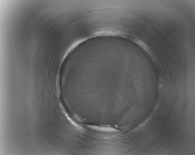 X0000080151030200612221944