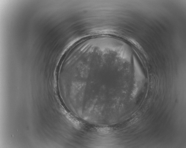 X0000080151031200612221944