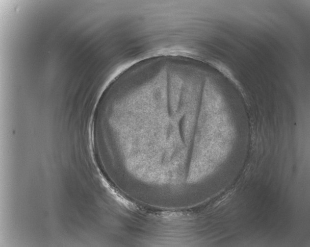 X0000080151032200612221944