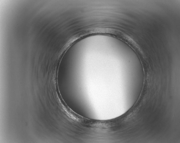 X0000080151033200612221944