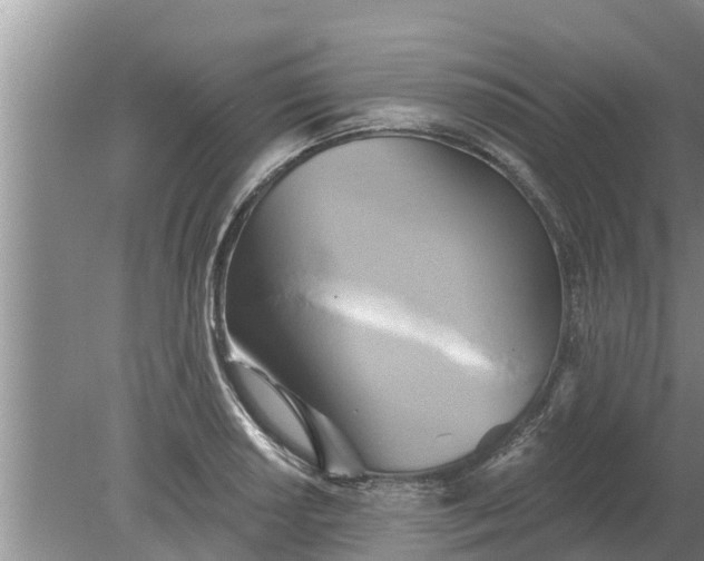 X0000080151034200612221944