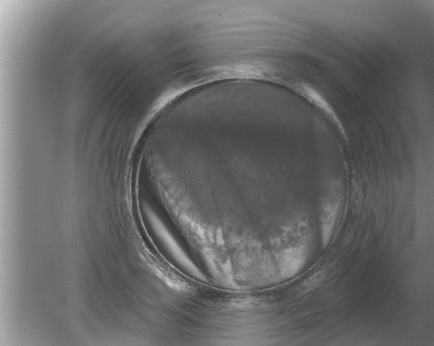 X0000080151035200612221944