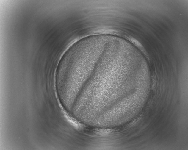 X0000080151039200612221944