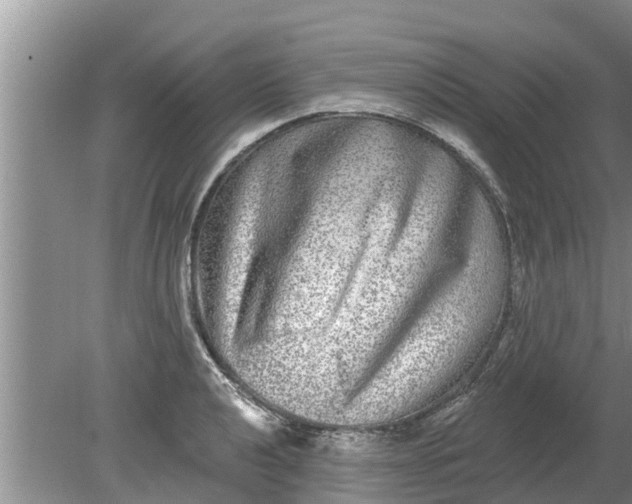 X0000080151040200612221944