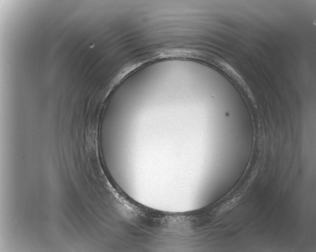 X0000080151041200612221944