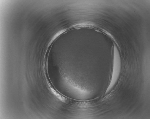 X0000080151042200612221944