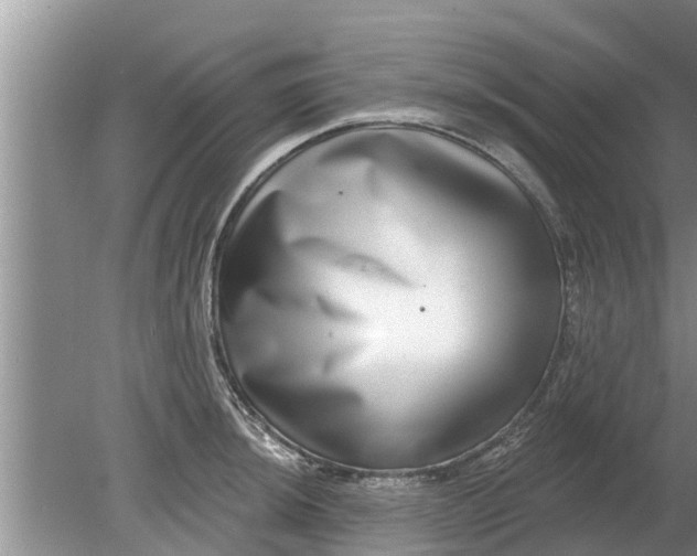 X0000080151044200612221944