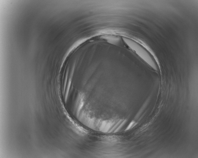 X0000080151045200612221944