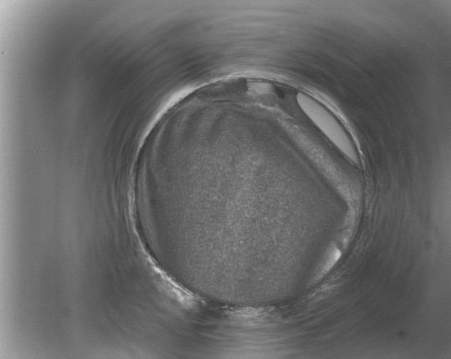 X0000080151048200612221944