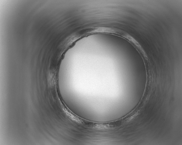 X0000080151049200612221944