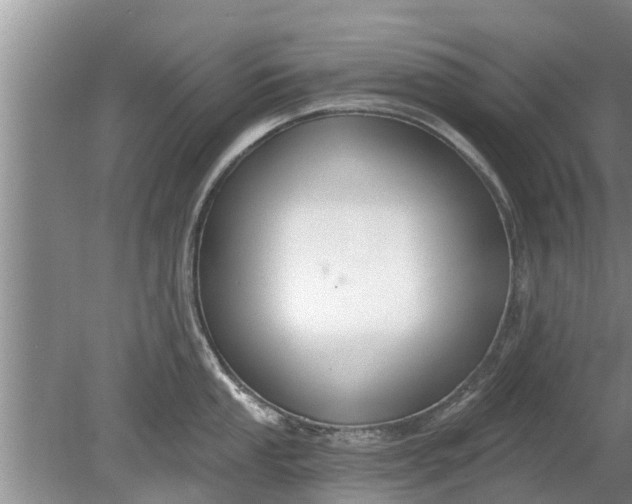 X0000080151053200612221944