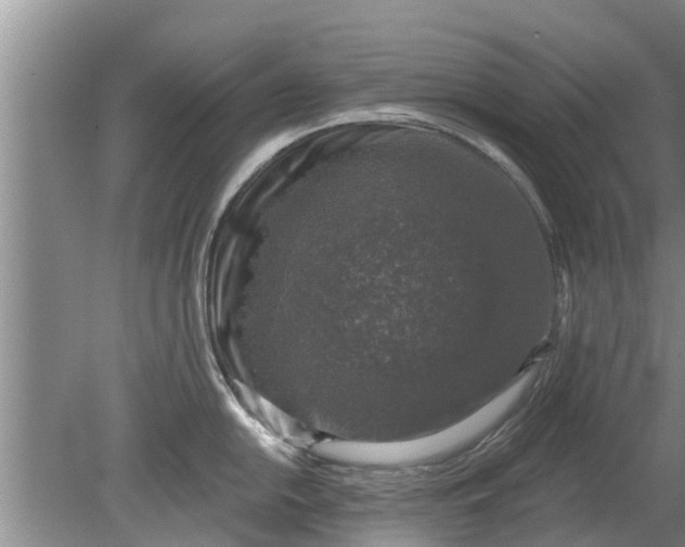 X0000080151054200612221944