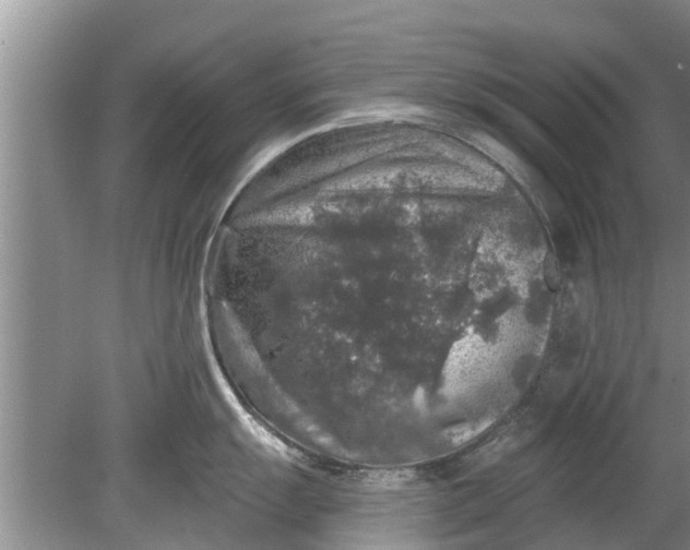 X0000080151055200612221944