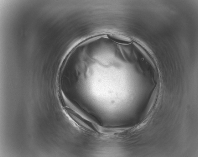 X0000080151056200612221944