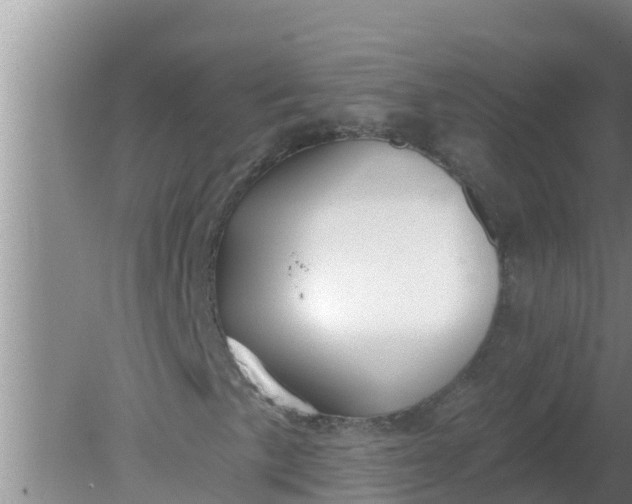 X0000080151057200612221943