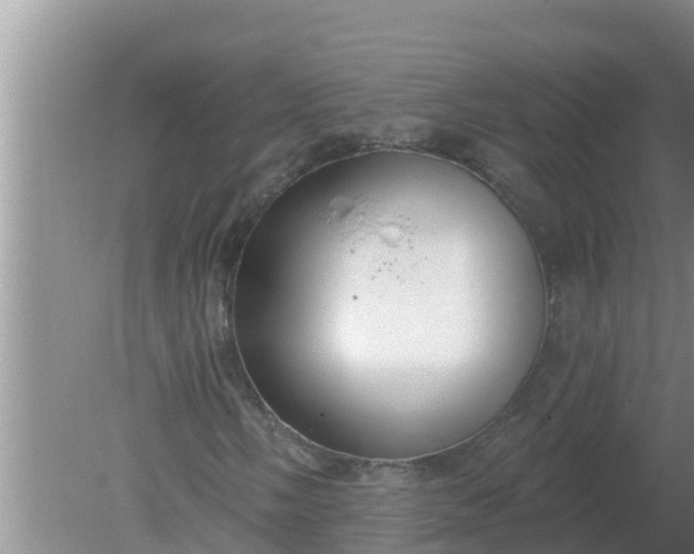 X0000080151058200612221943