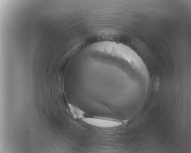 X0000080151060200612221943