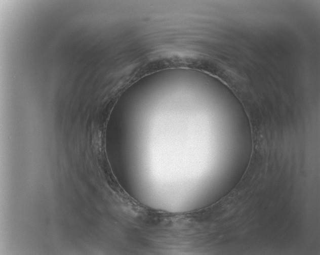 X0000080151061200612221943