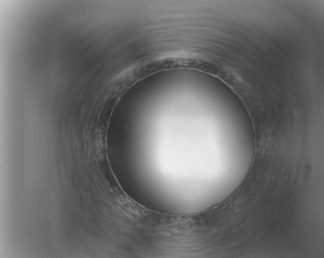 X0000080151062200612221943