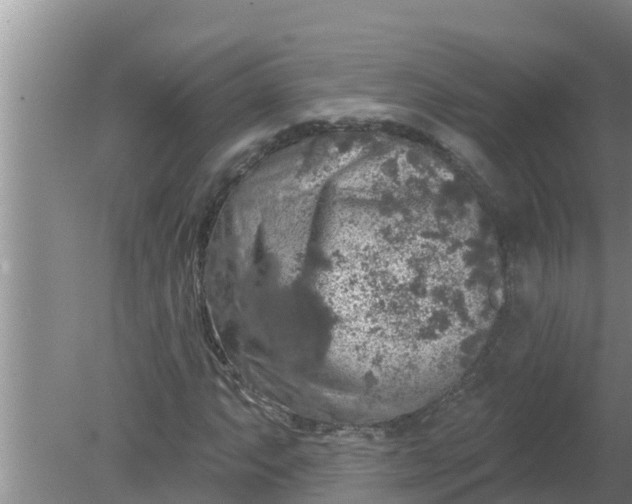 X0000080151063200612221943