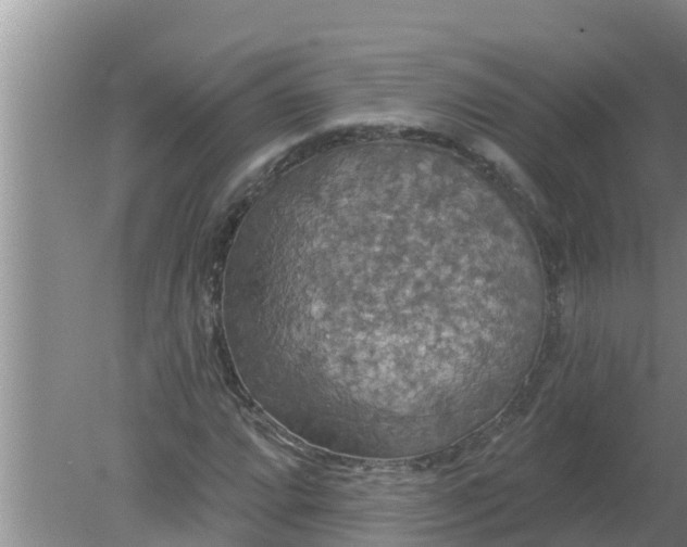 X0000080151064200612221943