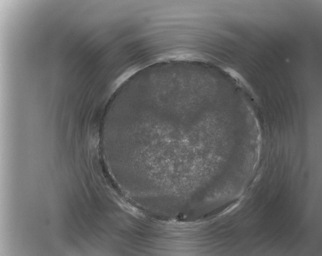 X0000080151065200612221943