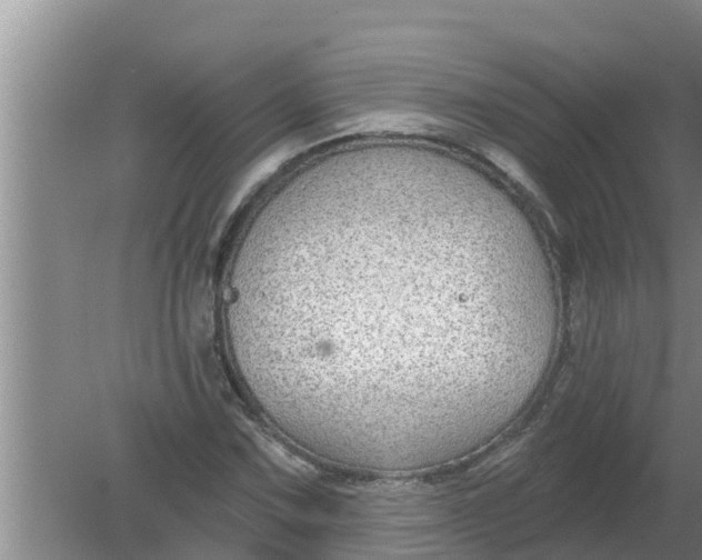 X0000080151067200612221943