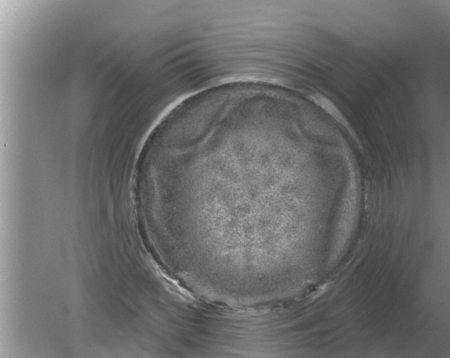 X0000080151068200612221943