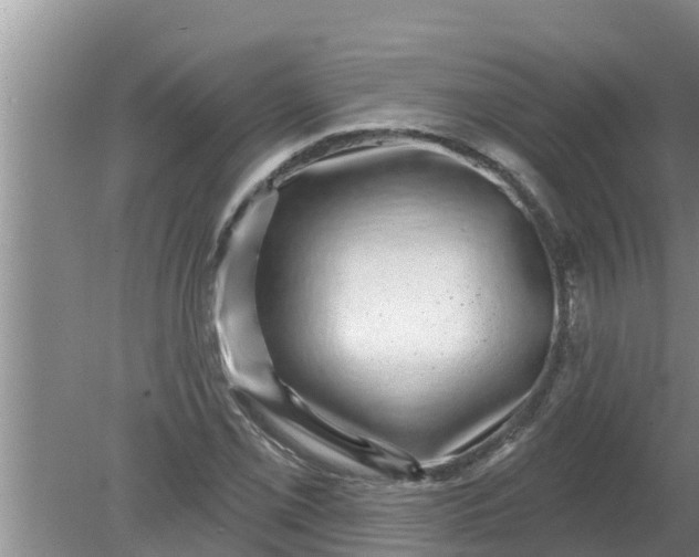 X0000080151069200612221943