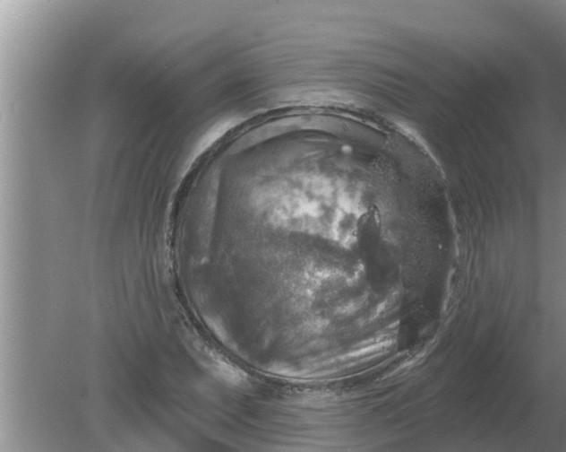 X0000080151071200612221943