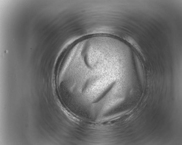 X0000080151072200612221943