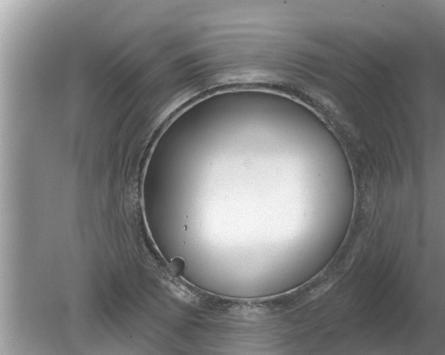 X0000080151073200612221943