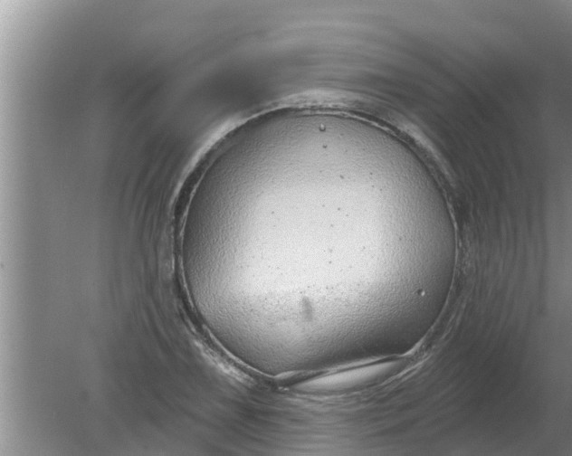 X0000080151075200612221943