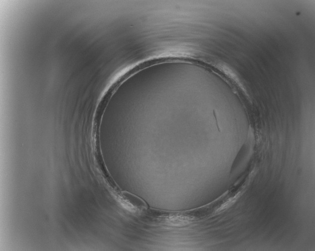 X0000080151077200612221943