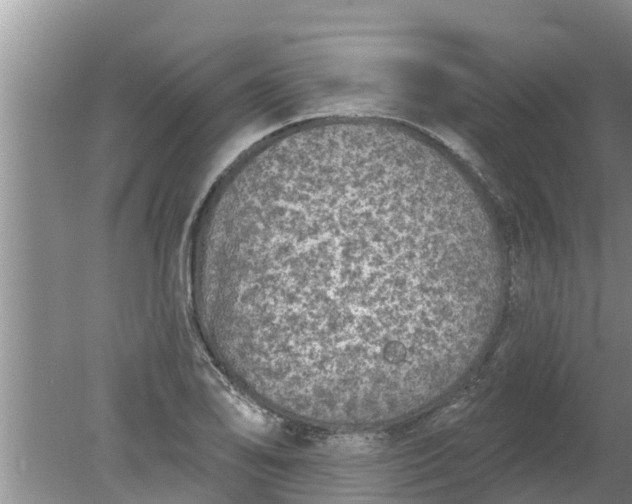 X0000080151078200612221943