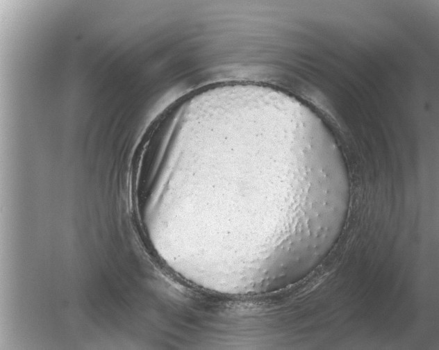 X0000080151079200612221943