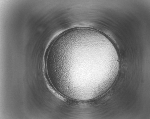 X0000080151080200612221943